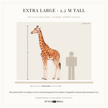 Watercolour Giraffe Wall Sticker Decals: Extra Large on a 2.4 m high wall, to scale beside a child