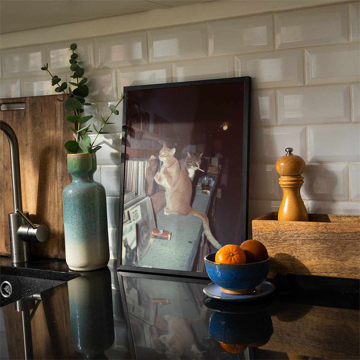 Feral After Dark Meow Mixes