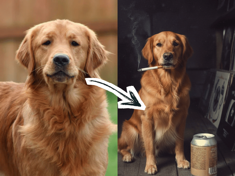 Got that Dog In 'Em Pet Custom Upload Personalised