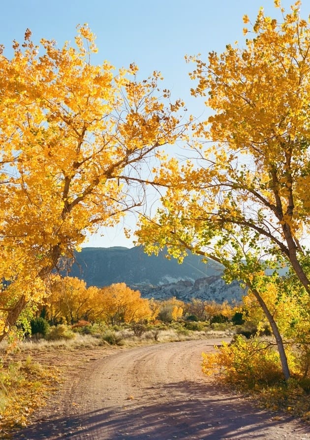 Abiquiu In Autumn by Bethany Young