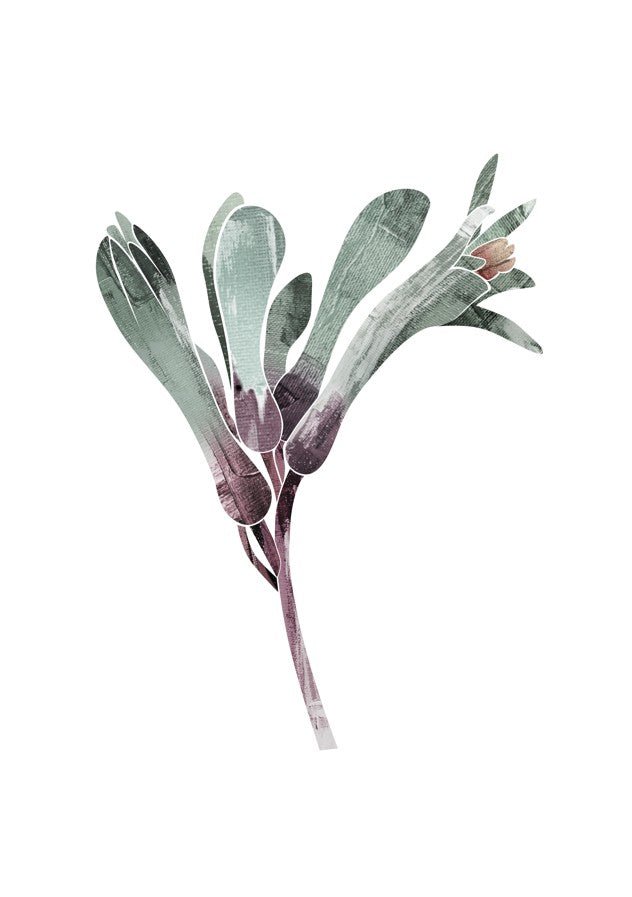 Abstract Kangaroo Paw by Dear Muskeeter