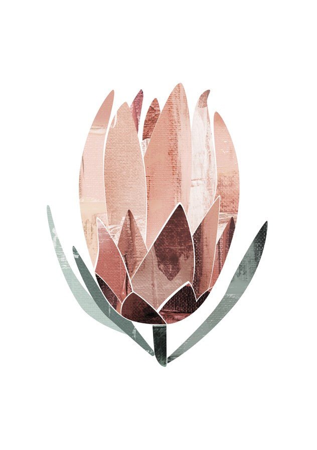Abstract Protea by Dear Muskeeter