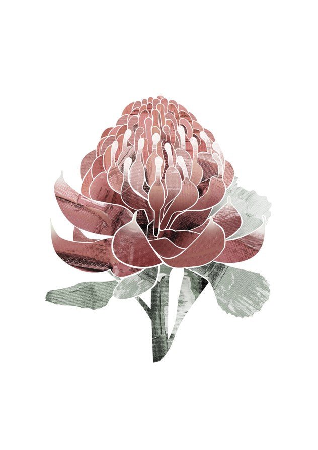 Abstract Waratah by Dear Muskeeter