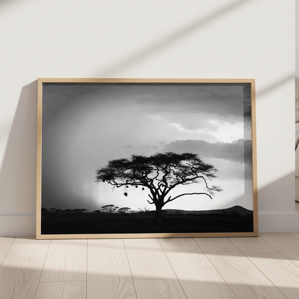 Africa Storm by Nicole Hunter