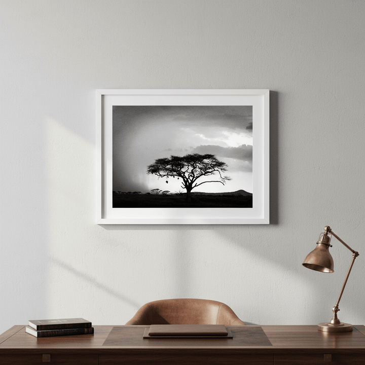 Africa Storm by Nicole Hunter wall - art - picture - poster