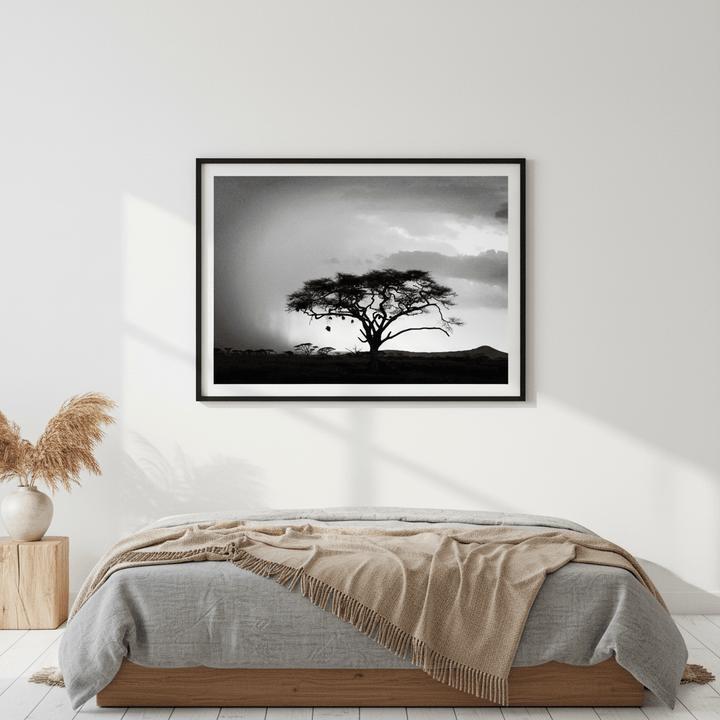 Africa Storm by Nicole Hunter wall - art - picture - poster