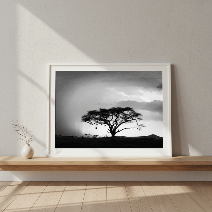 Africa Storm by Nicole Hunter wall - art - picture - poster