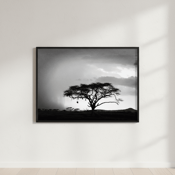 Africa Storm by Nicole Hunter wall - art - picture - poster