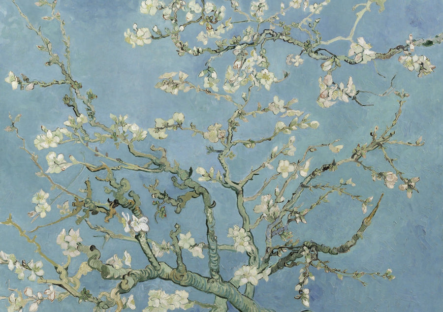 Almond Blossoms Wall Art by Vincent van Gogh