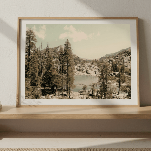 Alone in Solitude by Hope Bainbridge