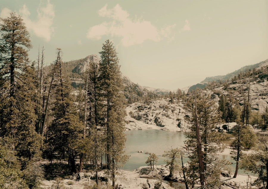 Alone in Solitude by Hope Bainbridge