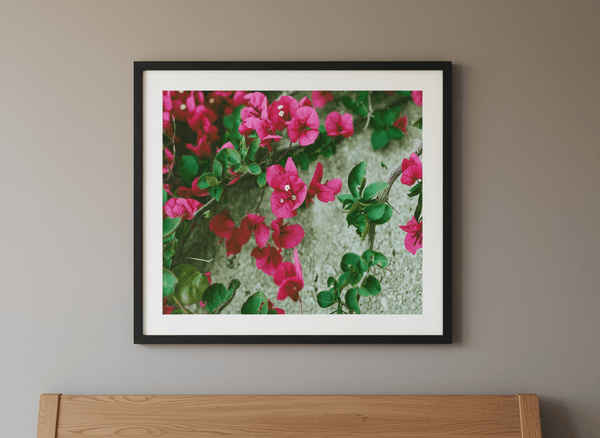Amalfi Coast Flowers by Bethany Young