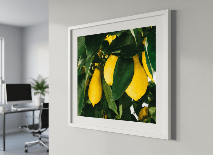 Contemporary wall art featured in a bright modern office workspace