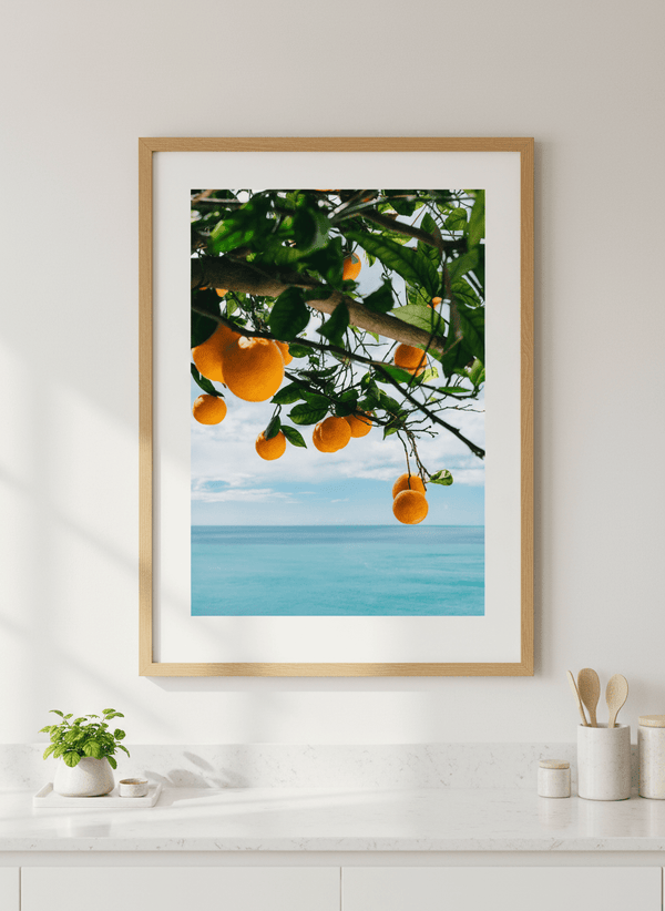 Amalfi Coast Oranges IV   By Bethany Young