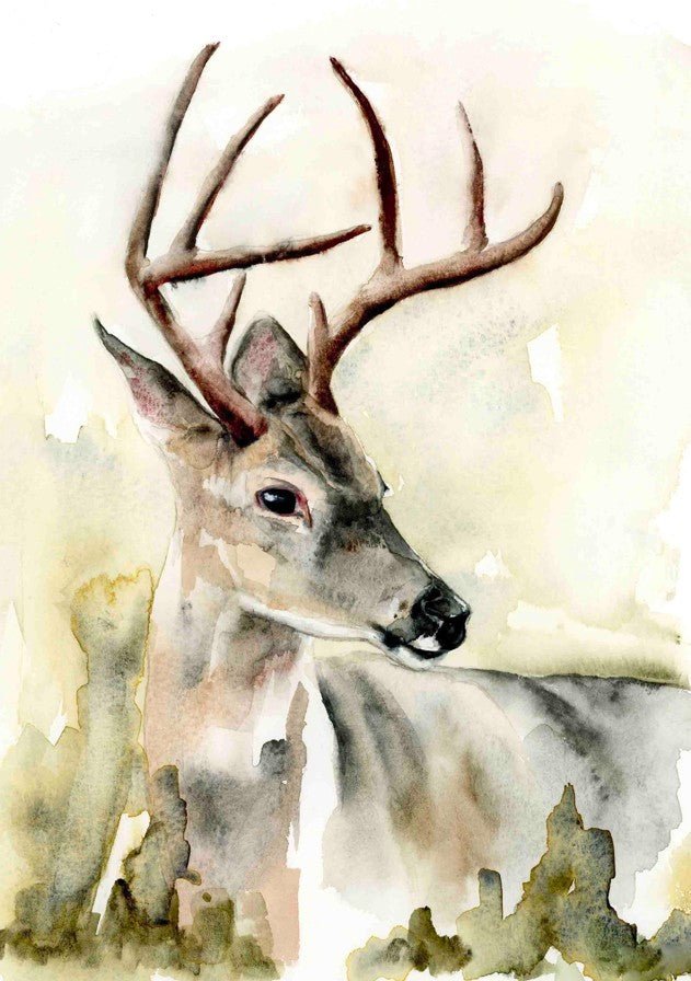 Amber Deer by Meredith O'Neal