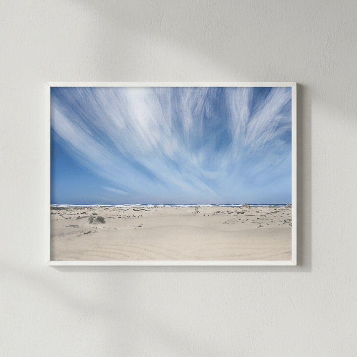 Arthur River Beach Tasmania by Deer Muskeeter wall - art - picture - poster