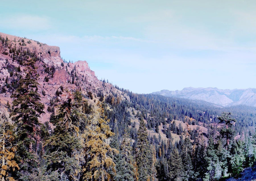 At the Top by Hope Bainbridge
