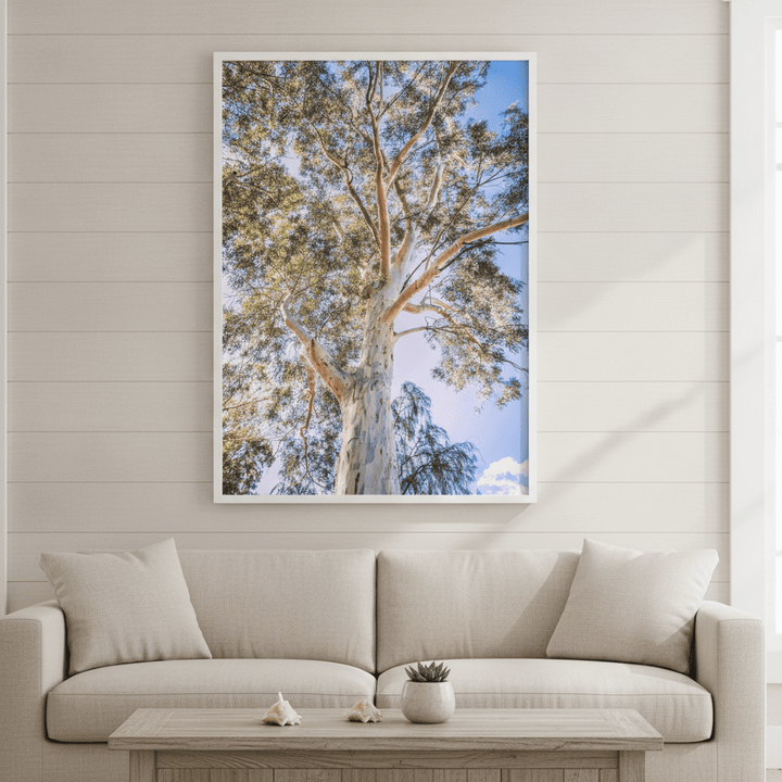 Australian Bush Gum Tree Photography wall-art-picture-poster