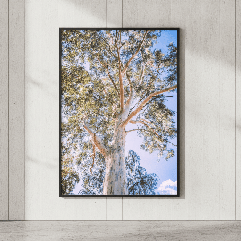 Australian Bush Gum Tree Photography wall-art-picture-poster