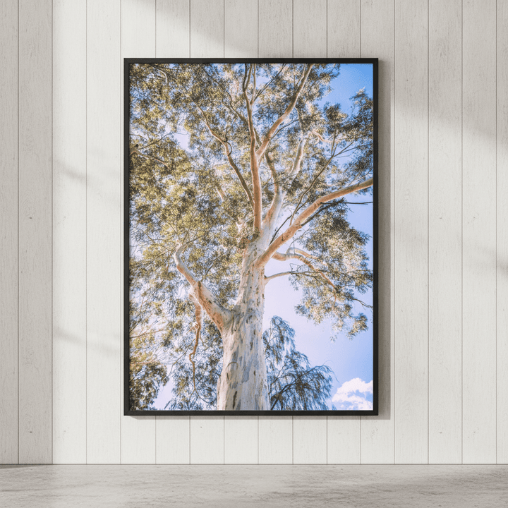 Australian Bush Gum Tree Photography wall-art-picture-poster