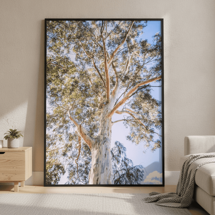 Australian Bush Gum Tree Photography wall-art-picture-poster