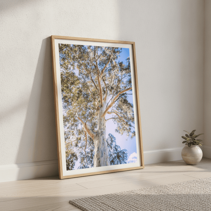 Australian Bush Gum Tree Photography wall-art-picture-poster