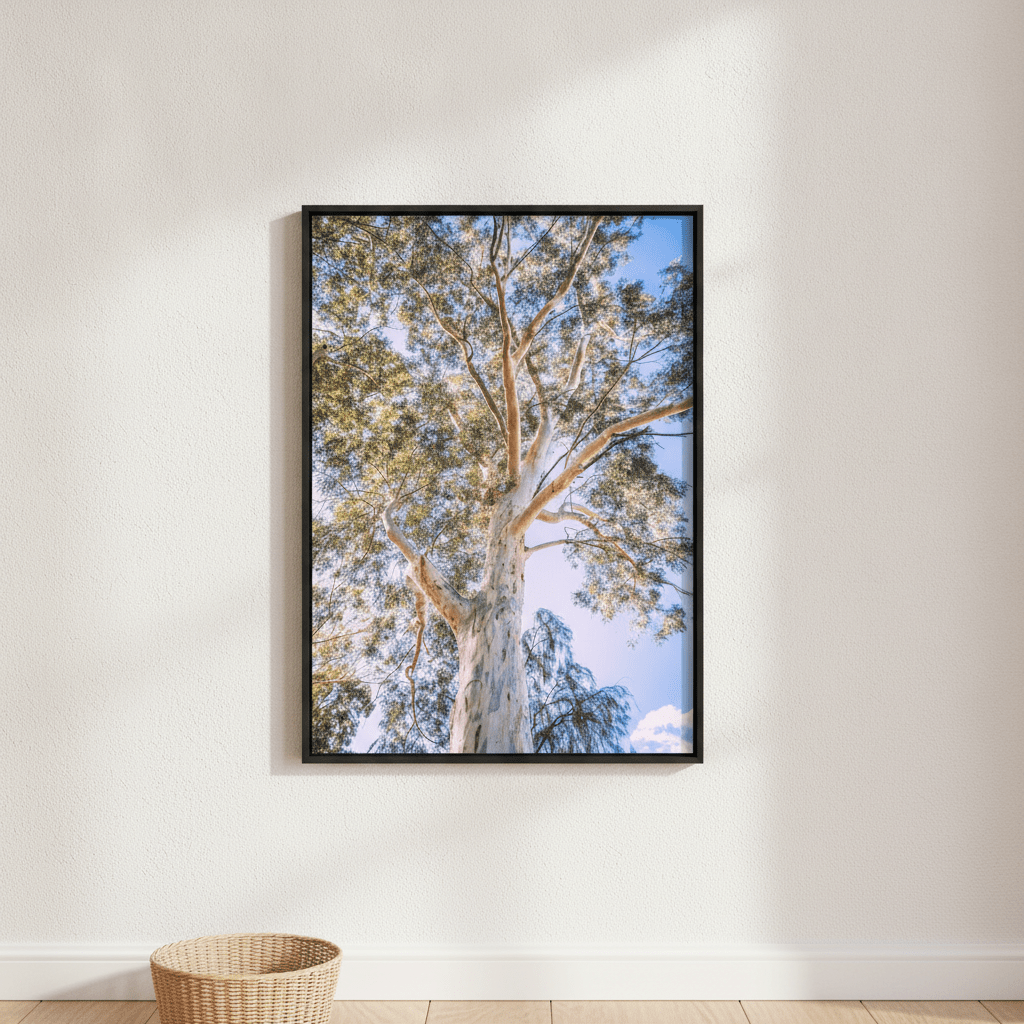 Australian Bush Gum Tree Photography wall-art-picture-poster