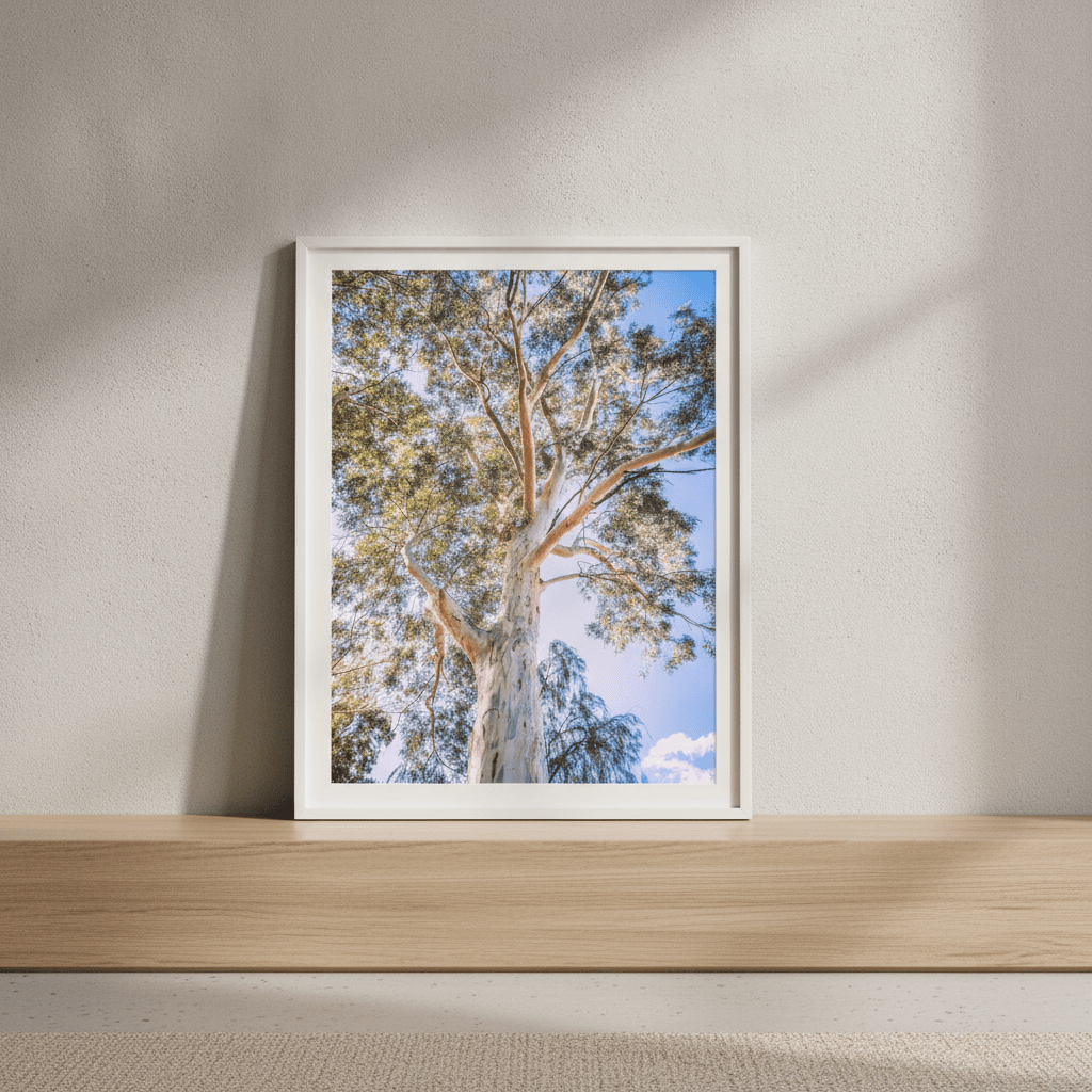 Australian Bush Gum Tree Photography wall-art-picture-poster