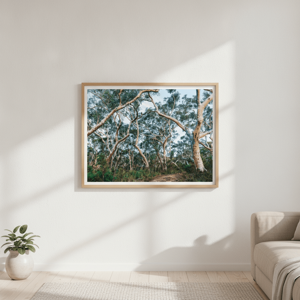 Australian Bush Photography Wall Art wall-art-picture-poster