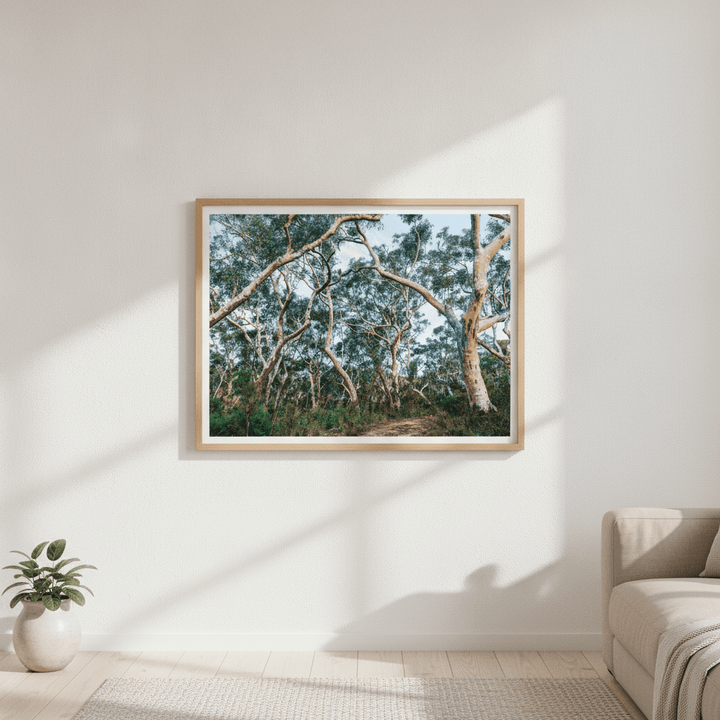 Australian Bush Photography Wall Art wall-art-picture-poster