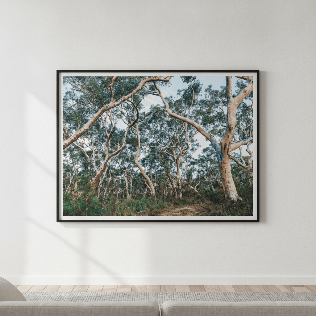 Australian Bush Photography Wall Art wall-art-picture-poster