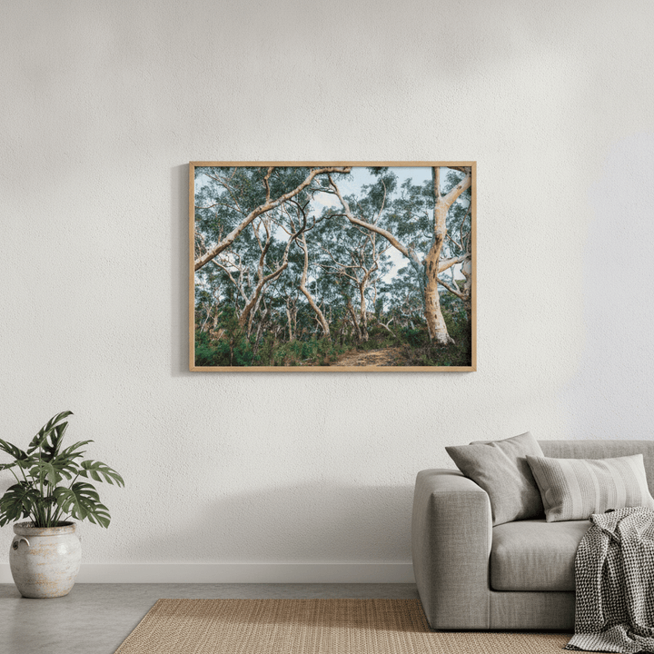 Australian Bush Photography Wall Art wall-art-picture-poster