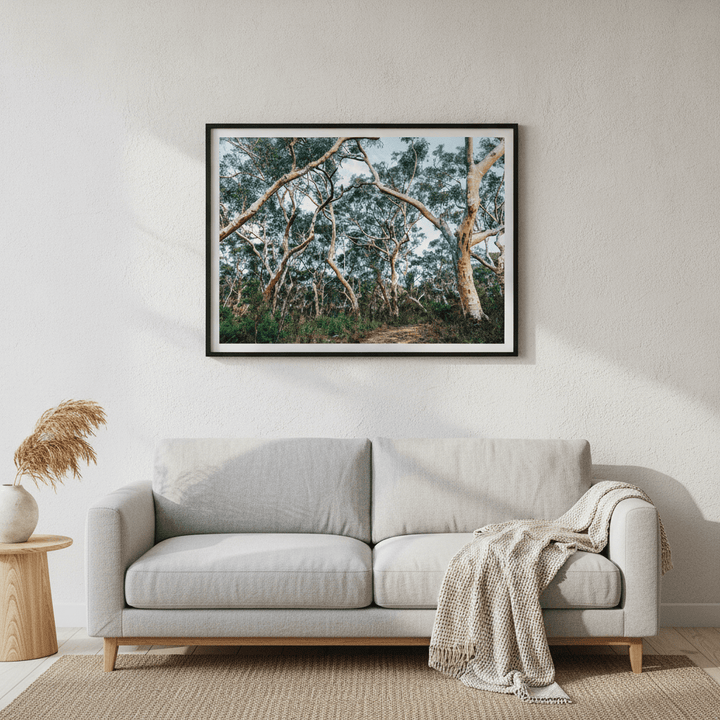 Australian Bush Photography Wall Art wall-art-picture-poster