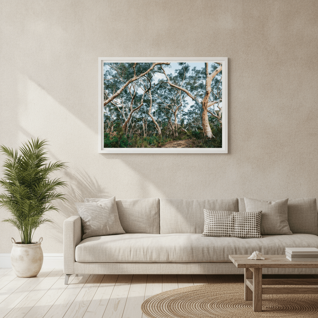 Australian Bush Photography Wall Art wall-art-picture-poster