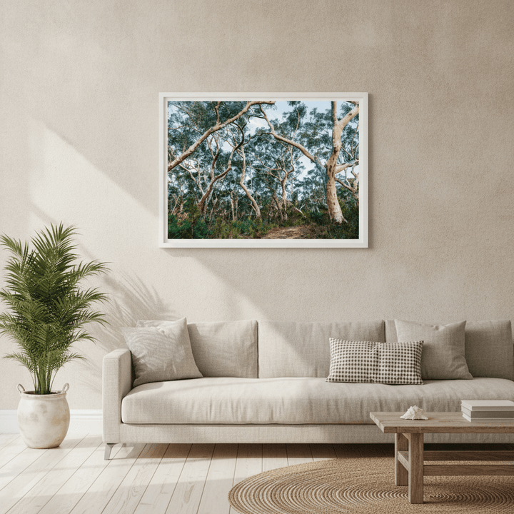 Australian Bush Photography Wall Art wall-art-picture-poster