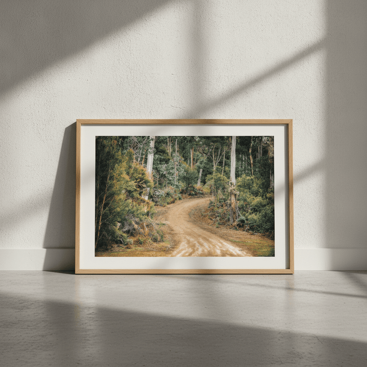 Australian Bush Trek Photograph Art wall-art-picture-poster