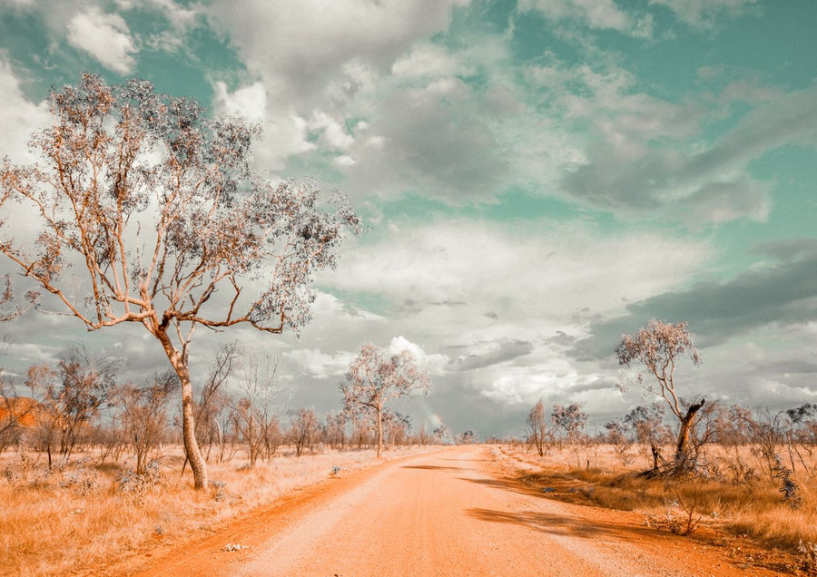 Australian Outback Bush Photography
