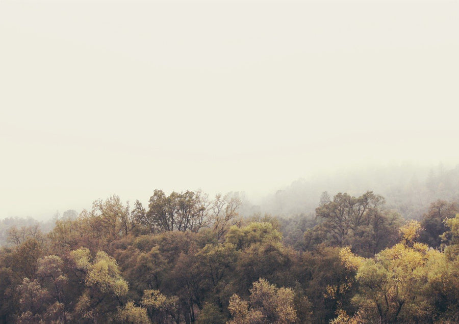 Autumn Afternoons by Hope Bainbridge