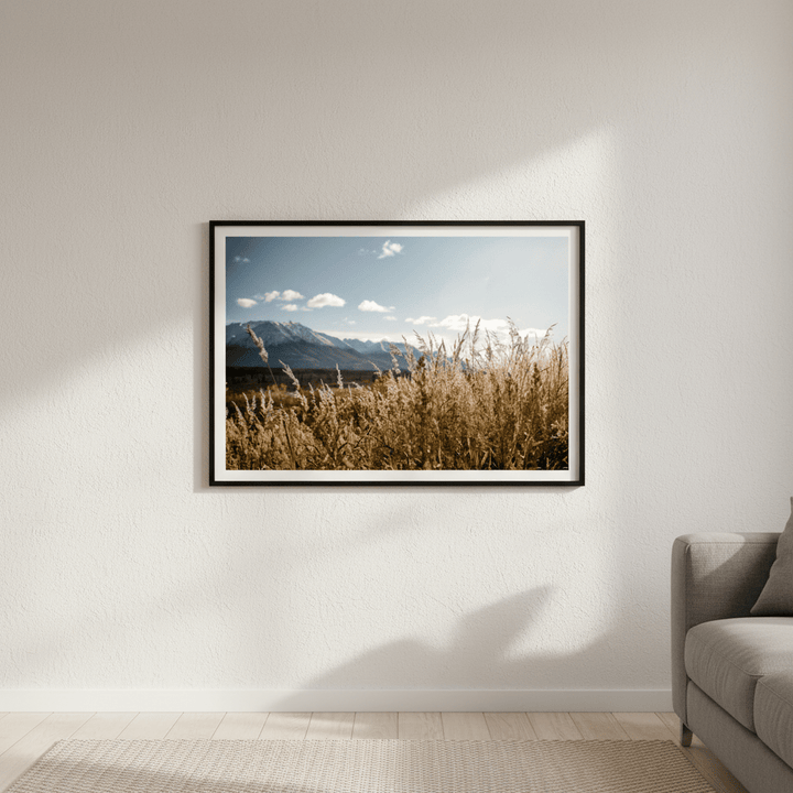 Autumn Light by Cordula Schaefer wall - art - picture - poster