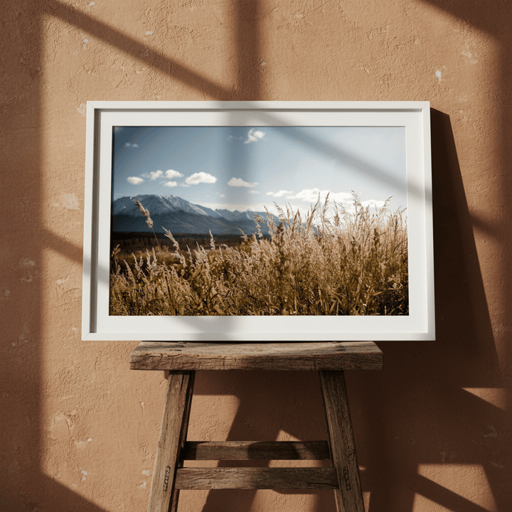 Autumn Light by Cordula Schaefer wall - art - picture - poster