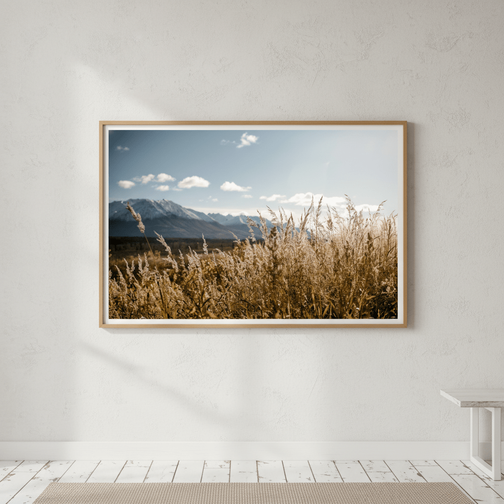Autumn Light by Cordula Schaefer wall - art - picture - poster