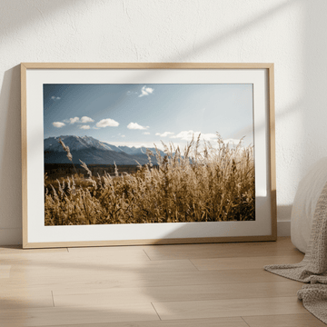 Autumn Light by Cordula Schaefer wall - art - picture - poster