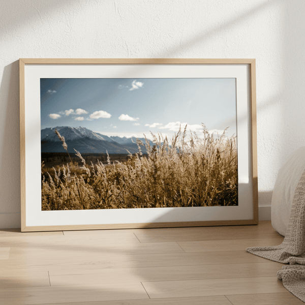 Autumn Light by Cordula Schaefer