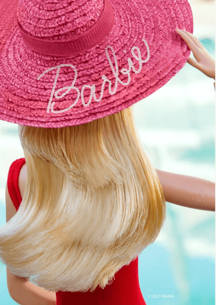 Barbie Brimmed & Chic Print,frame