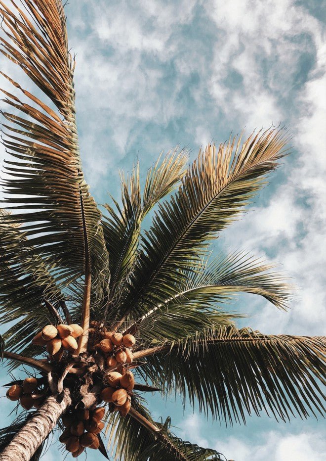 Beach Days by Aaron Borchardt