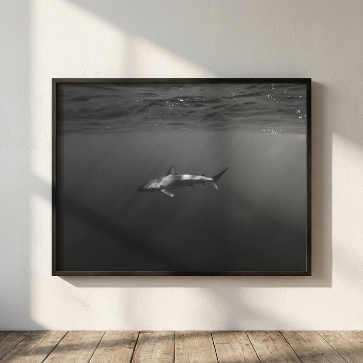 Beneath by Colton Jones wall - art - picture - poster