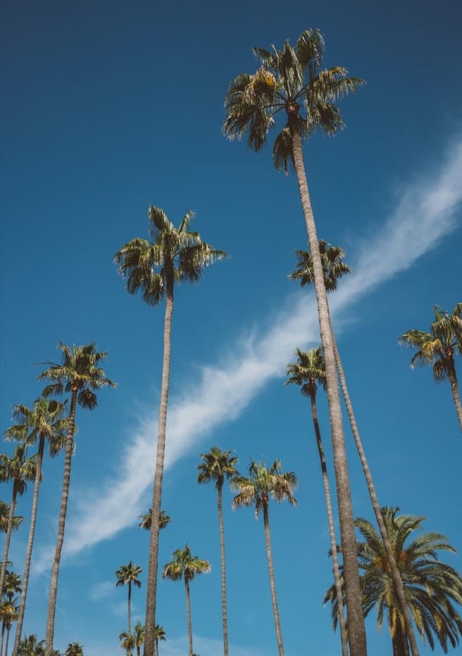 Beverly Hills Sky II  By Bethany Young