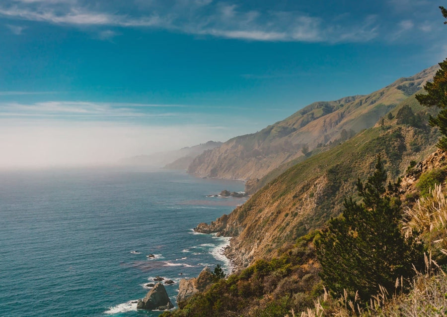 Big Sur IV  By Bethany Young