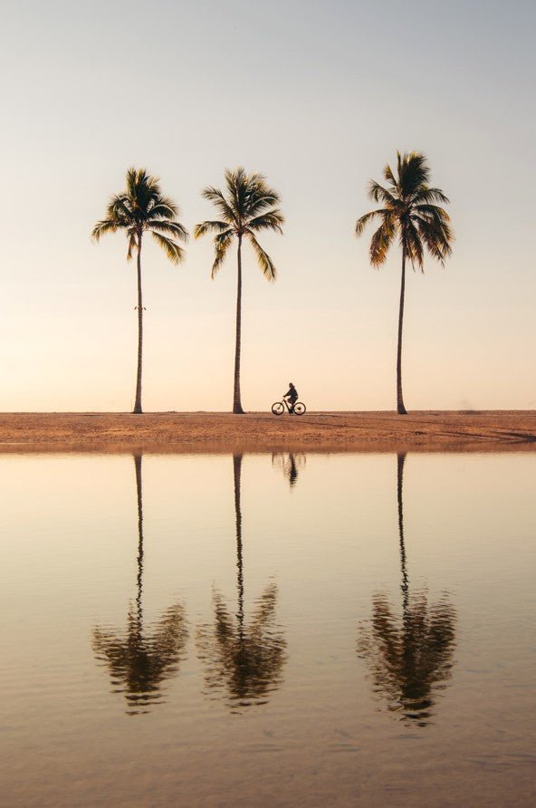 Person riding a bike between three palm trees on a beach at sunset. framed