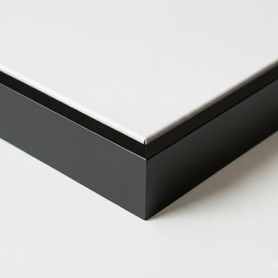 Black Canvas Floating Frame